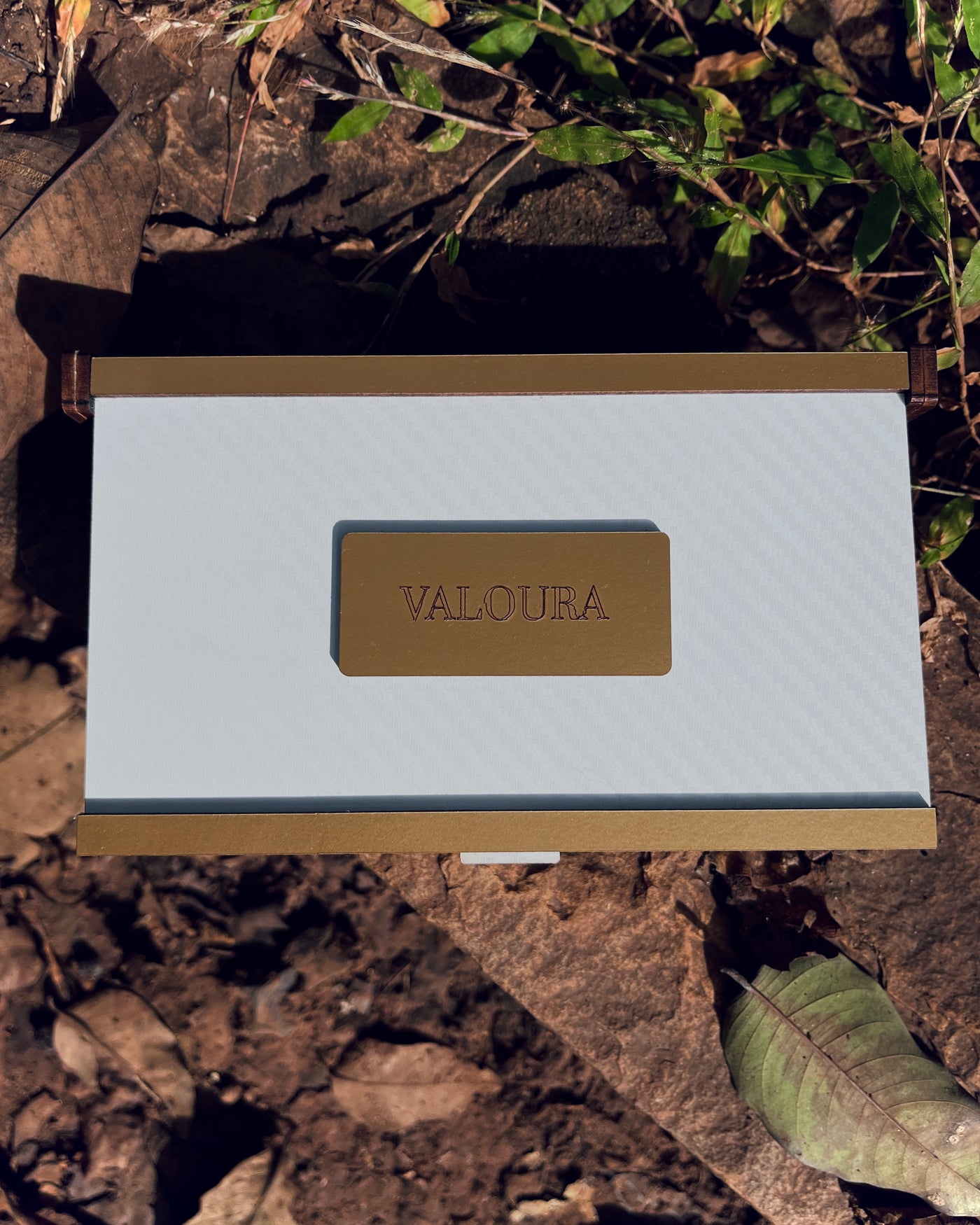 Discovery set placed on stone and bark with natural green tone