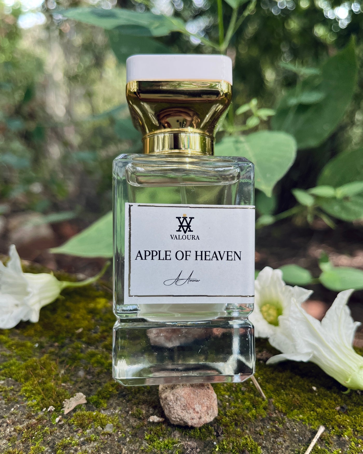 Valoura Apple of Heaven perfume bottle with gold cap on a natural background with jasmine flower near 