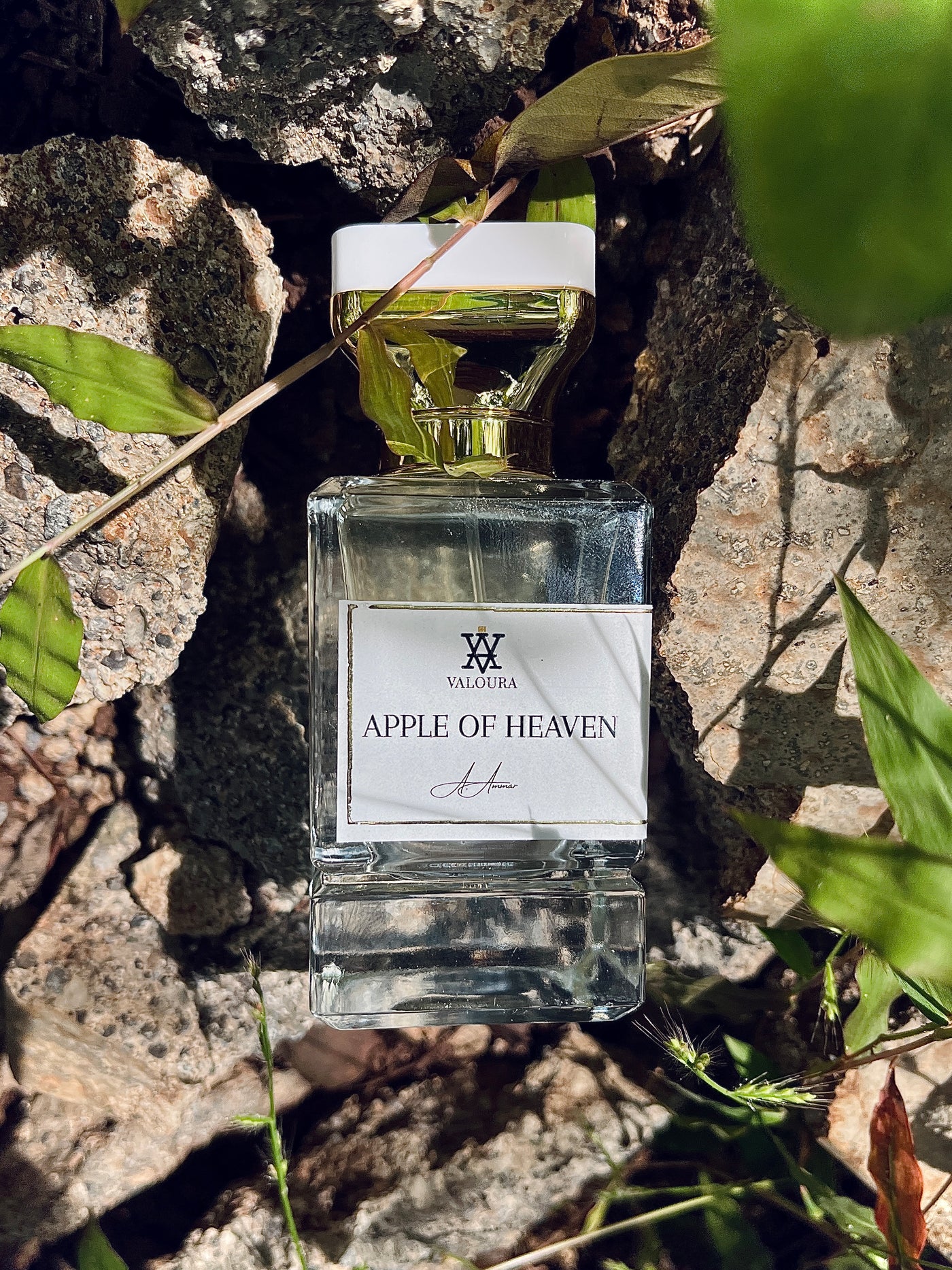 Valoura Apple of Heaven perfume bottle on a rocky  surface with green leaves.