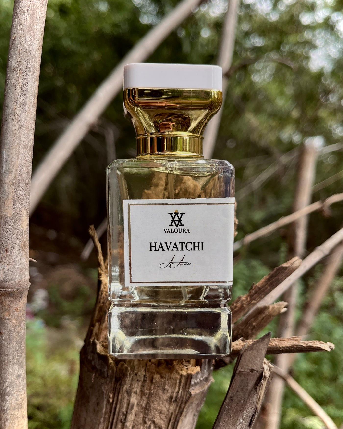 Perfume bottle labeled 'Havatchi' by Valoura on a half cut bamboo background