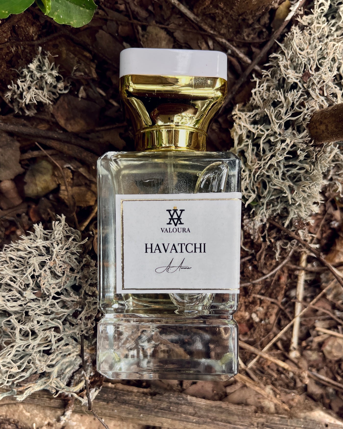 Perfume bottle labeled 'Havatchi' by Valoura on a oakmoss background