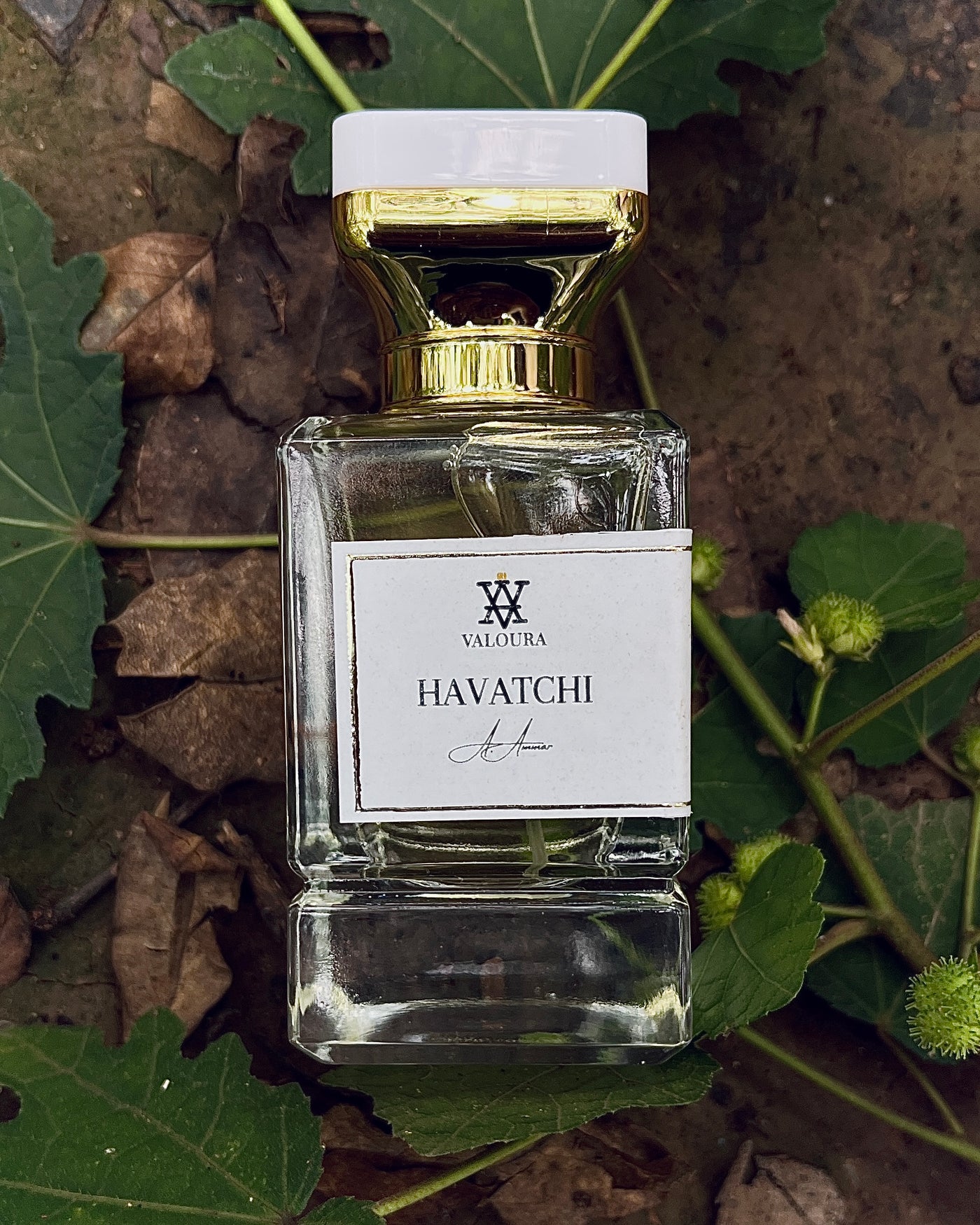 Valdera Havatchi perfume bottle on a natural background with leaves