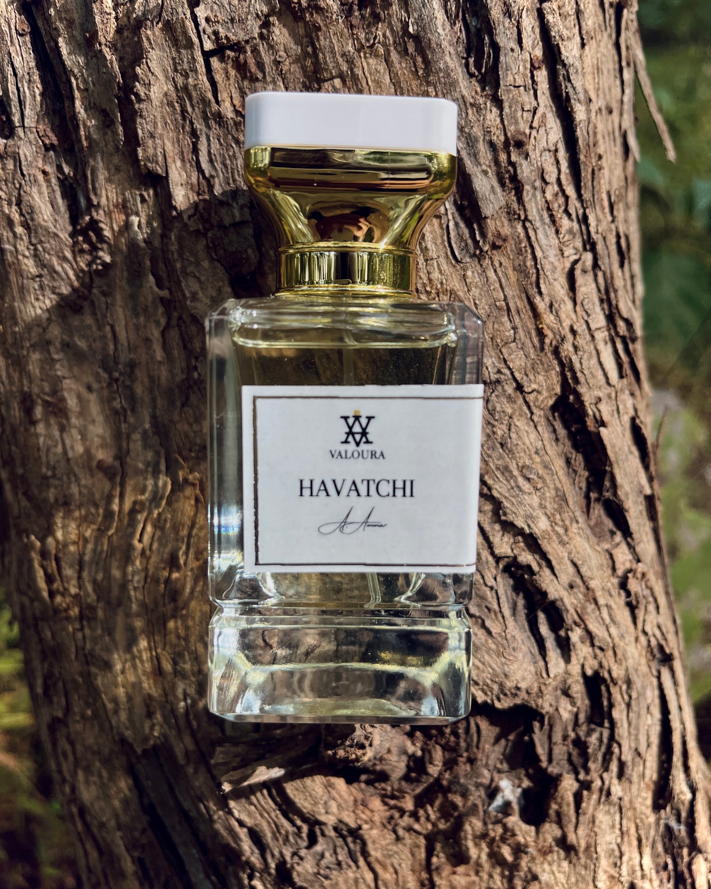 Perfume bottle labeled 'Havatchi' by Valoura on a tree trunk