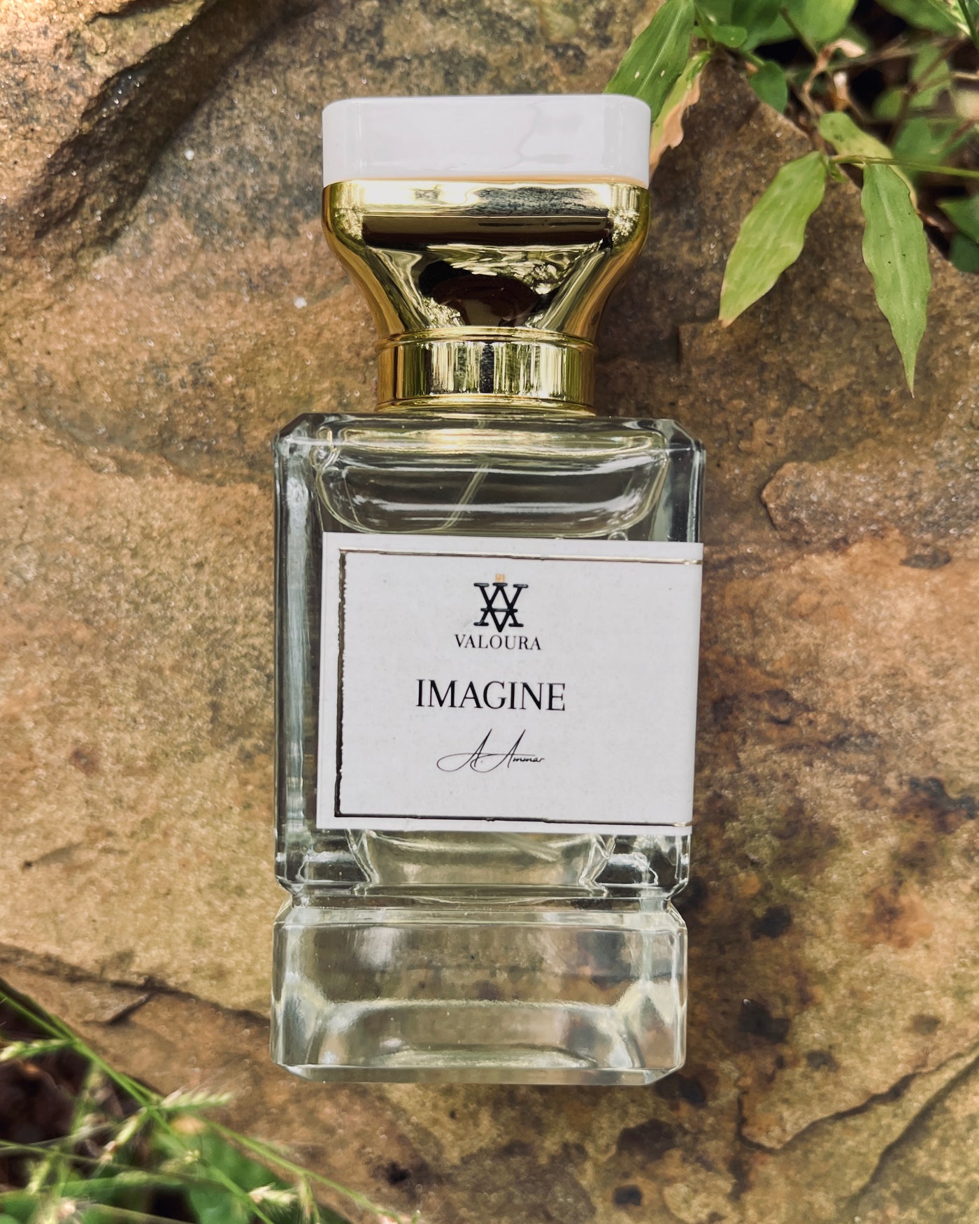 Perfume bottle labeled 'Imagine' by Valduga on a stone surface with greenery.
