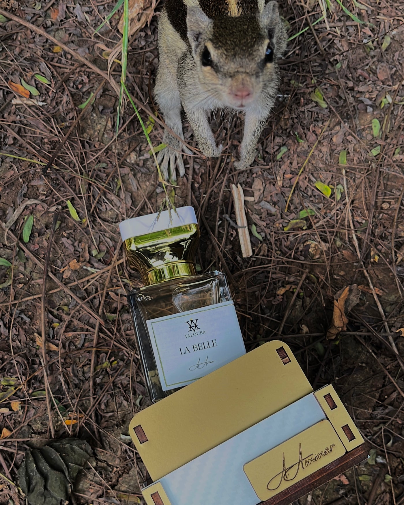 Squirrel interacting with a perfume bottle LA Belle with  packaging on the ground 