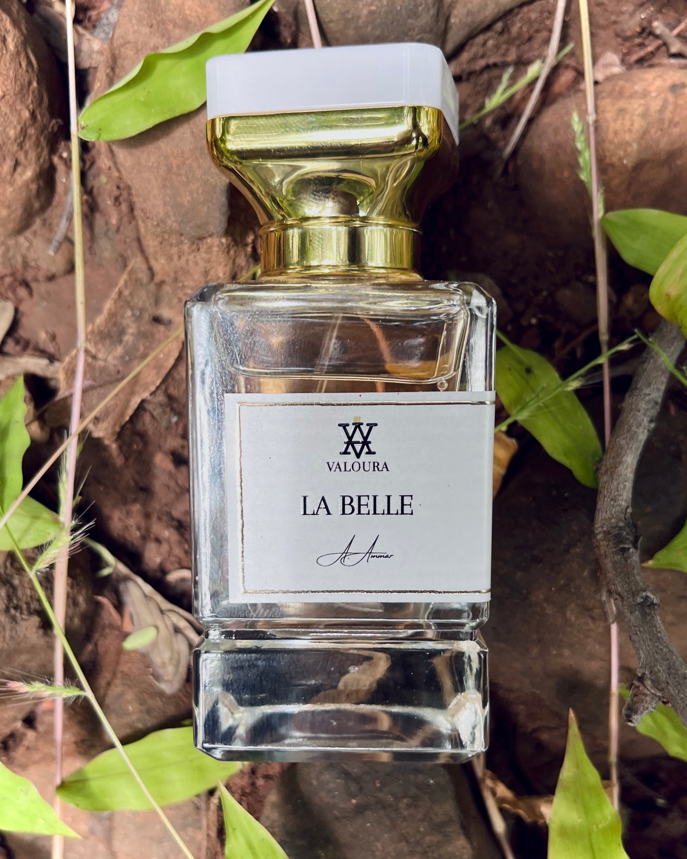 Perfume bottle labeled 'La Belle' by Valoura on a natural background with dried leaves.