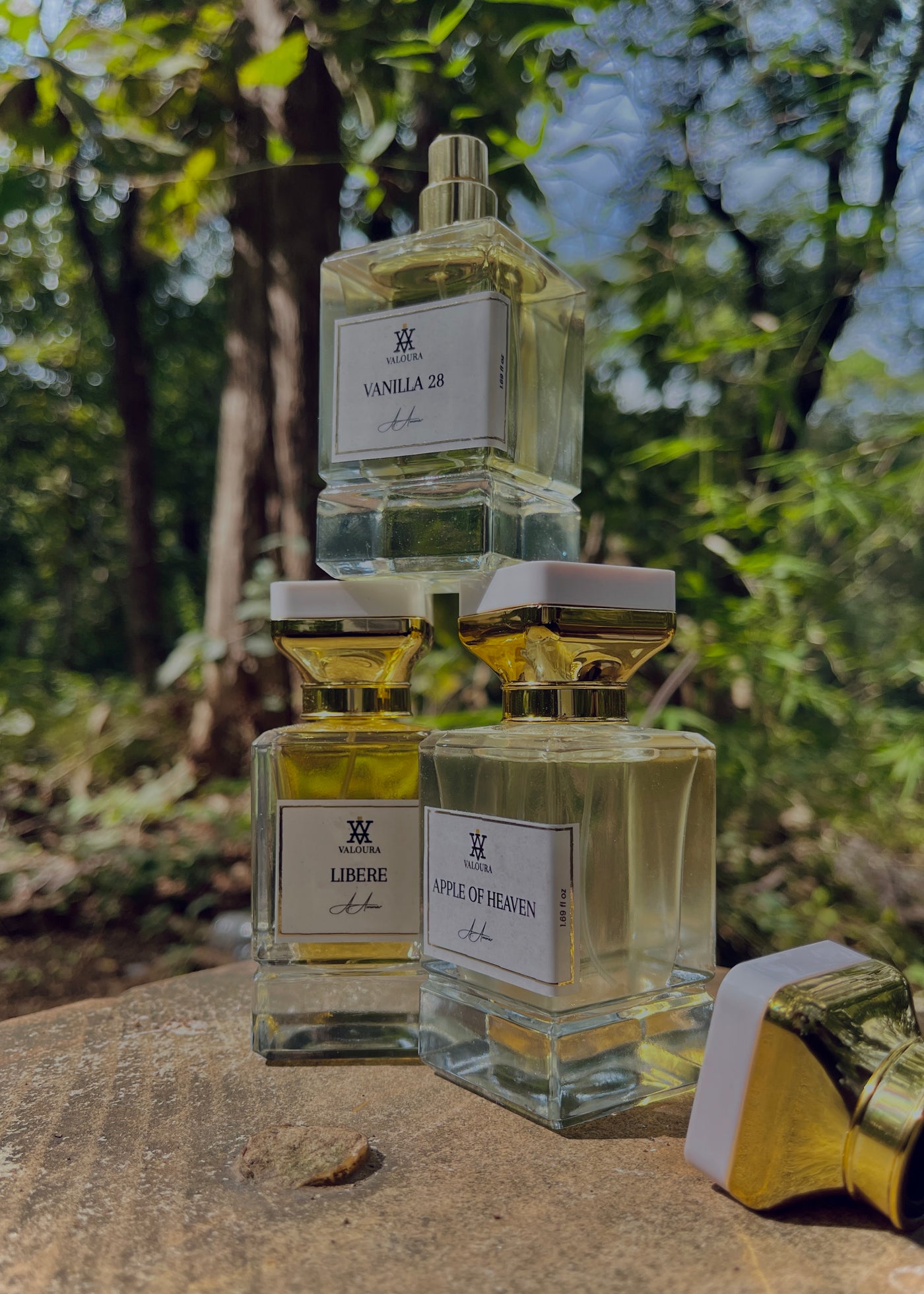 Set of perfume bottles with visible labels on a natural background